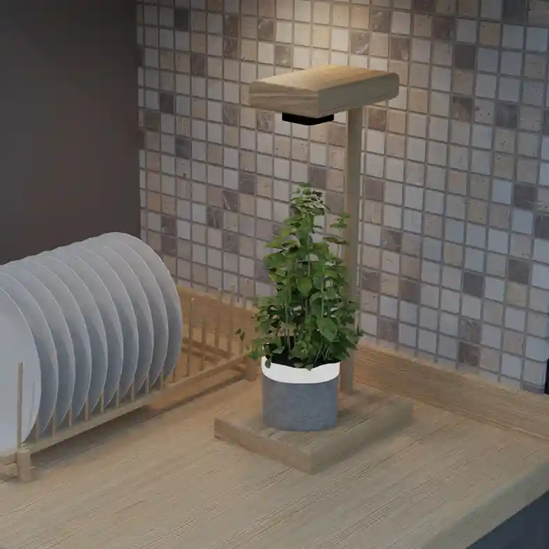 Grow Light with stand and plant on Counter - 3D Render